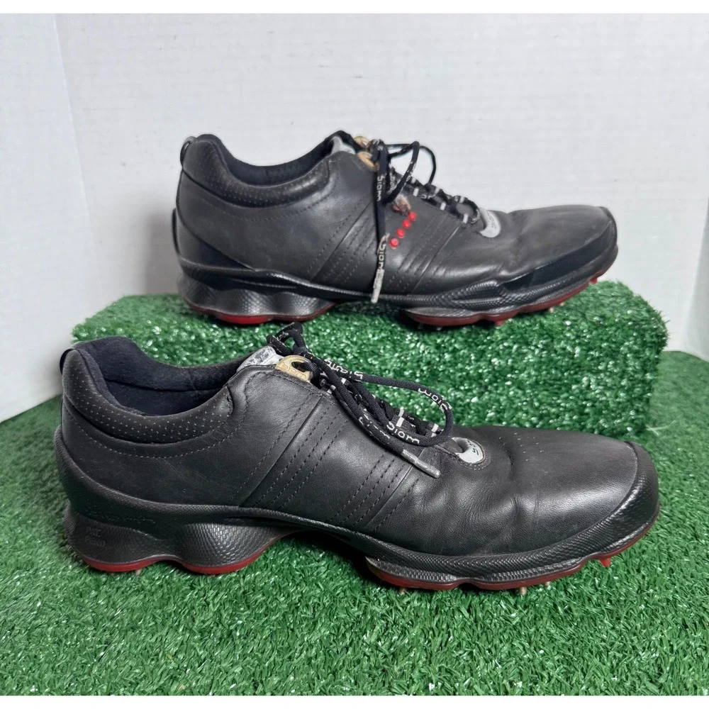 Ecco these could